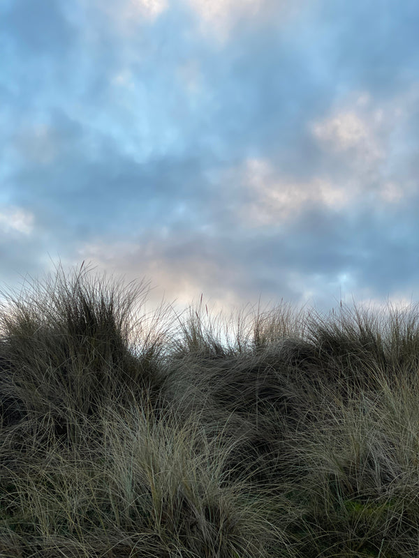 Speyside Light - The Landscape Behind the Scent